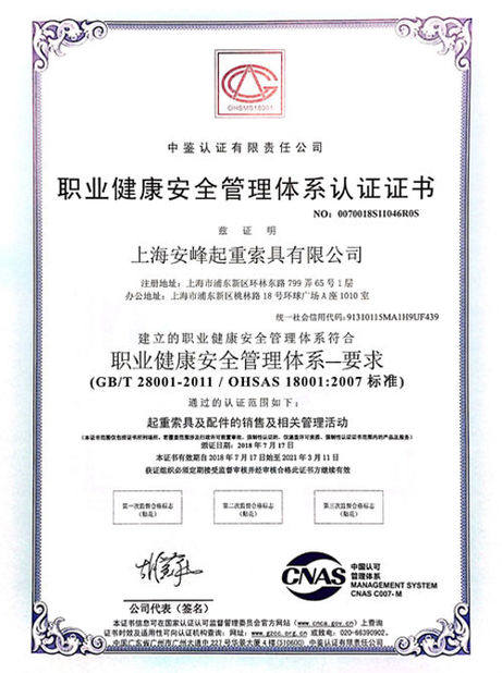 중국 Shanghai Anfeng Lifting &amp; Rigging LTD. 인증