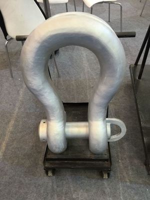 ASME B30.26 사슬 활형 은화 페인트 맞춤형